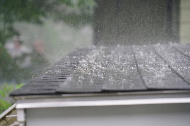 Best Solar Panel Roofing Installation  in Gman, IL